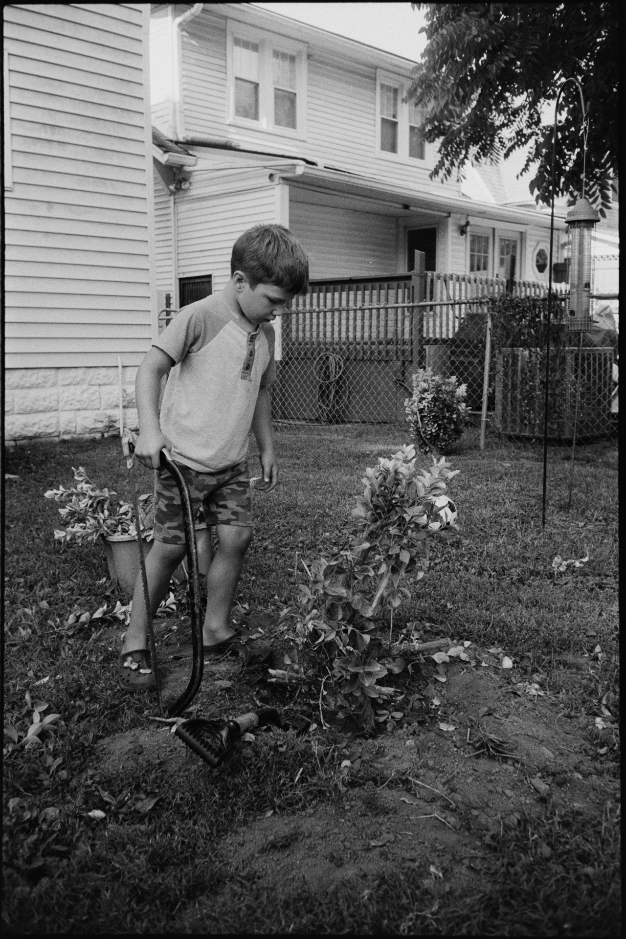 digging plant out