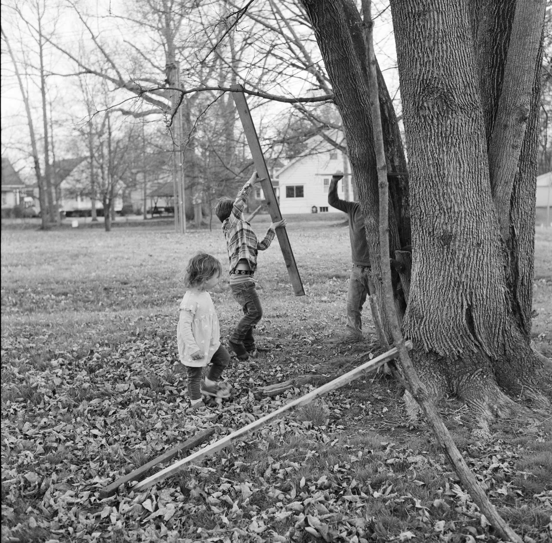building fort by tree